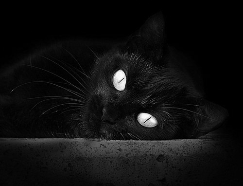 跨界之战,当NBA总决赛的战术风暴席卷广东篮球